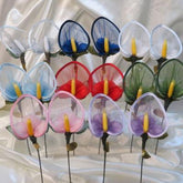 CF Calla Anturium